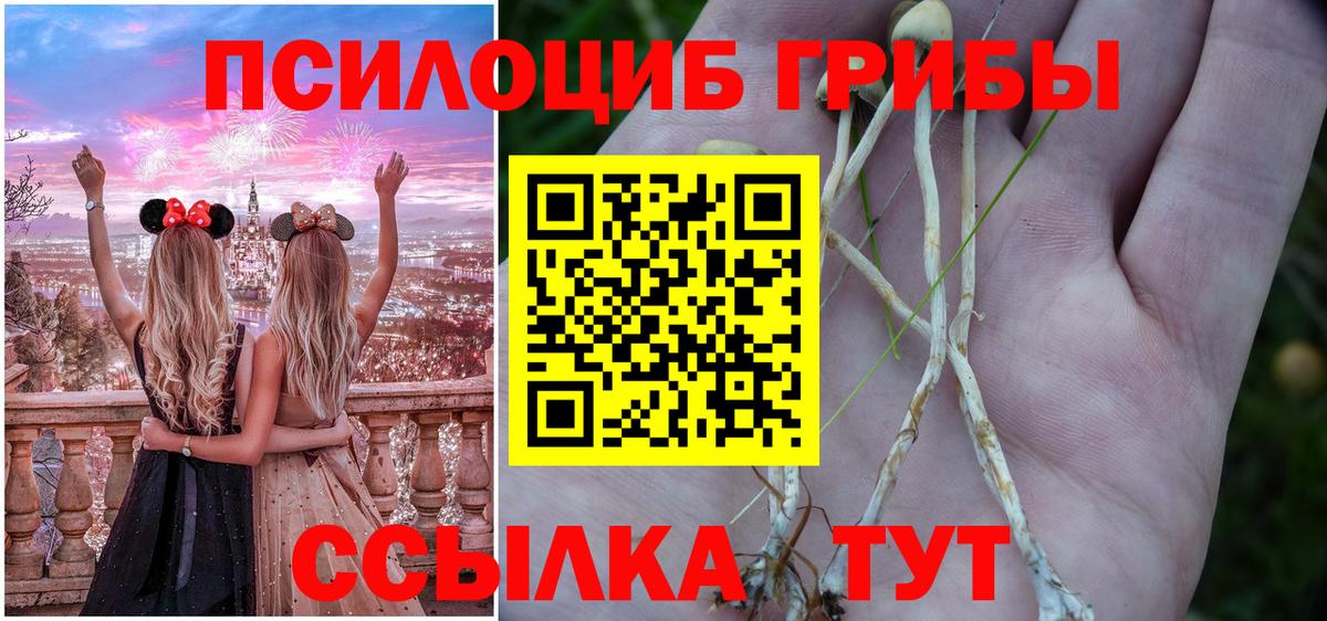 Псилоцибиновые грибы Psilocybine cubensis Феодосия
