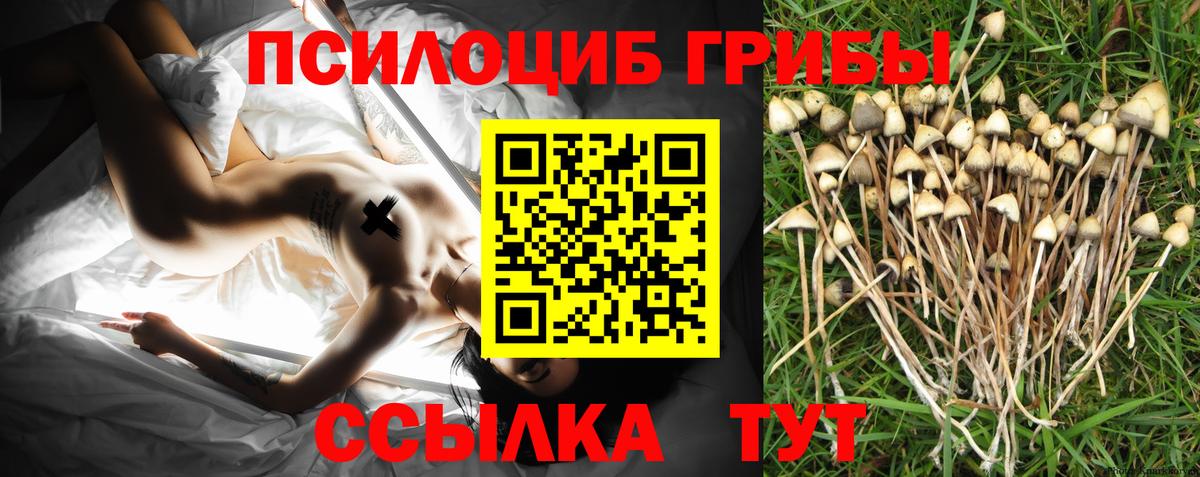 Галлюциногенные грибы ЛСД  Вход с VPN  Феодосия  Псилоцибиновые грибы мухоморы 
